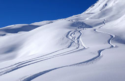 Appartement ski R&eacute;sidence La Meije Blanche